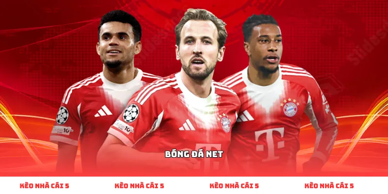 bóng đá net