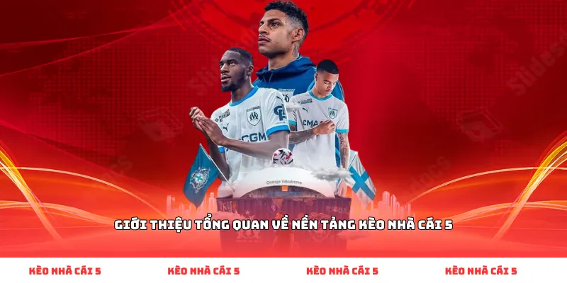 Giới thiệu tổng quan về nền tảng Kèo Nhà Cái 5